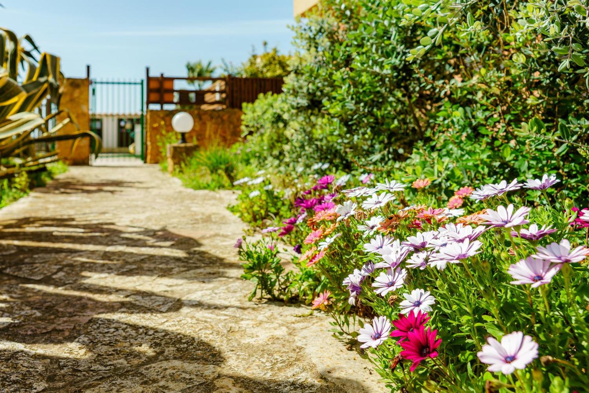Sole & Sale Birgi Vecchi - Saline Di Marsala Kite Apartment Exterior photo